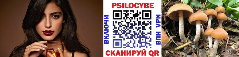 Псилоцибиновые грибы ЛСД Дербент
