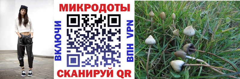 OMG tor  Дербент  Галлюциногенные грибы GOLDEN TEACHER 